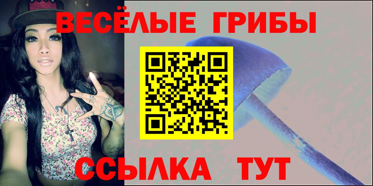 Псилоцибиновые грибы ЛСД Дедовск