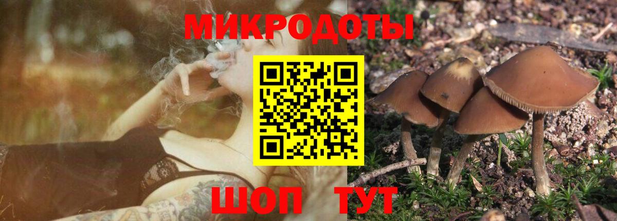 Галлюциногенные грибы Psilocybine cubensis  Вход с VPN  Дедовск  Галлюциногенные грибы ЛСД 